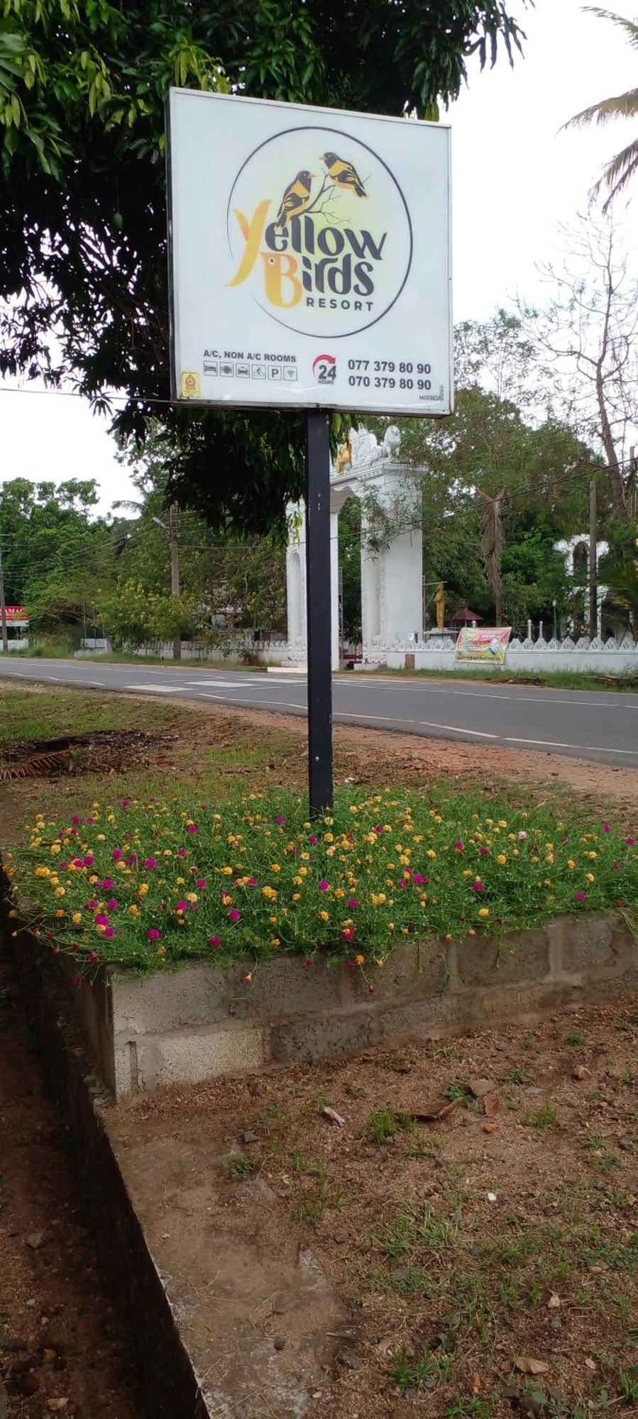 Yellow Birds Resort Anuradhapura Exterior foto