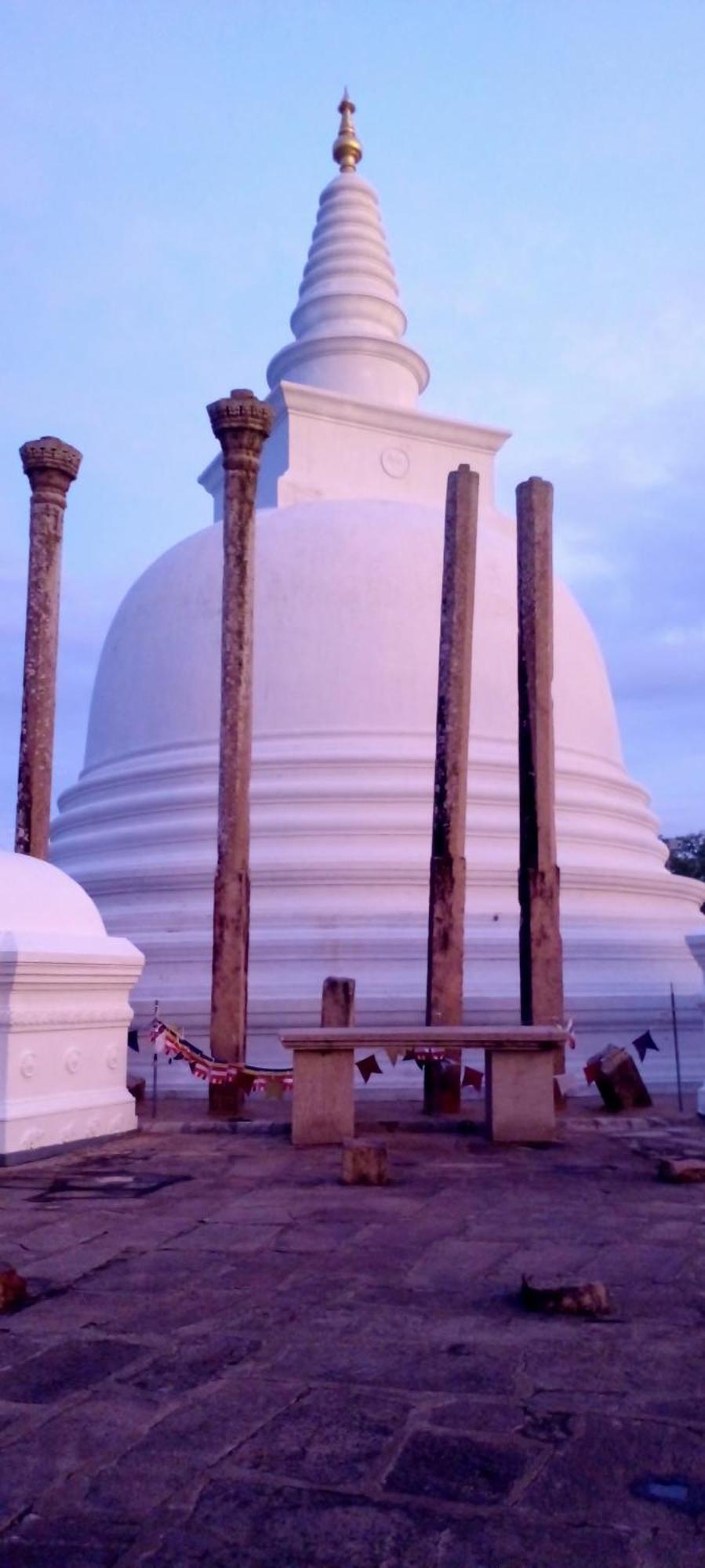 Yellow Birds Resort Anuradhapura Exterior foto